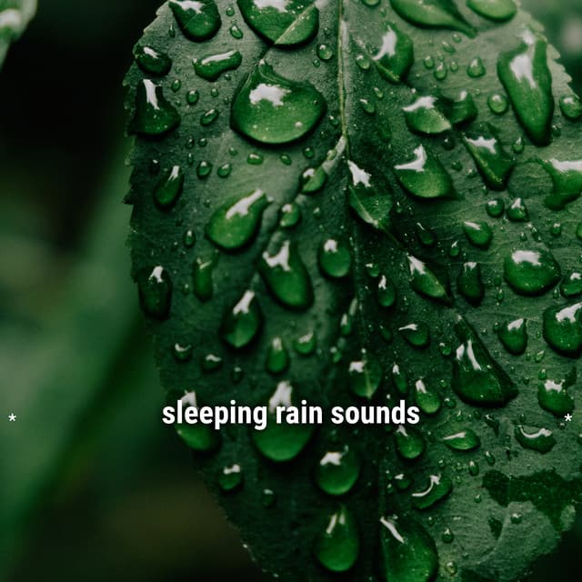 * sleeping rain sounds * - Lightning, Thunder and Rain Storm