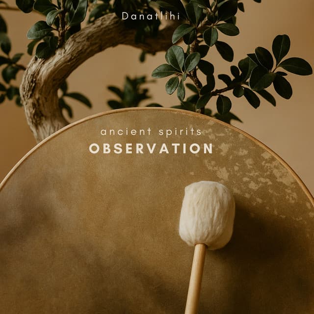Ancient Spirits Observation - Danatlihi