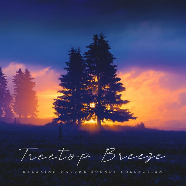 Treetop Breeze - Relaxing Nature Sounds Collection