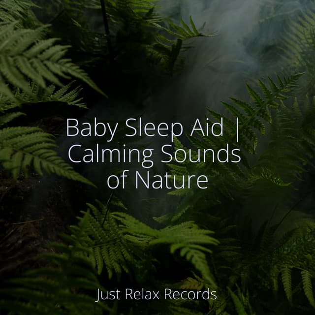 Baby Sleep Aid | Calming Sounds of Nature - Yoga Music