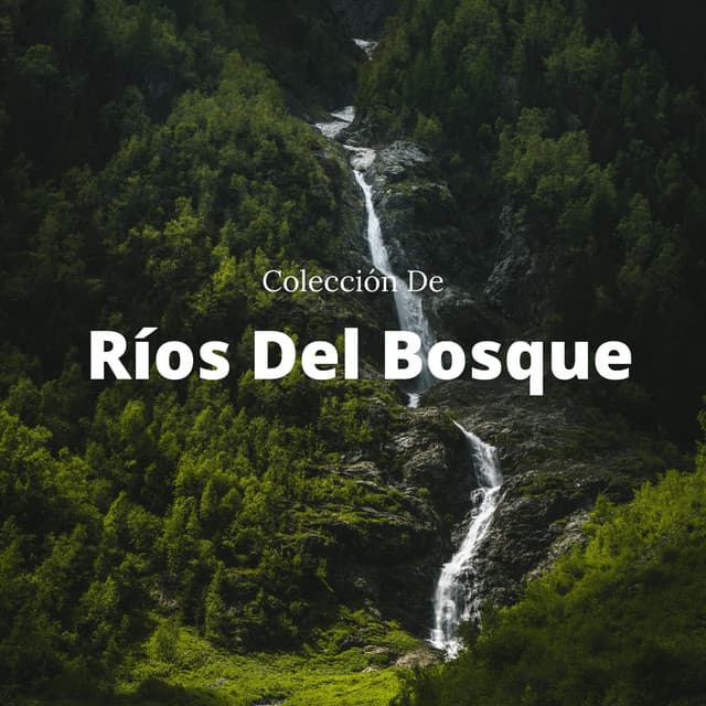 Colección De Ríos Del Bosque - Sonido del Agua Ruido Blanco Natural