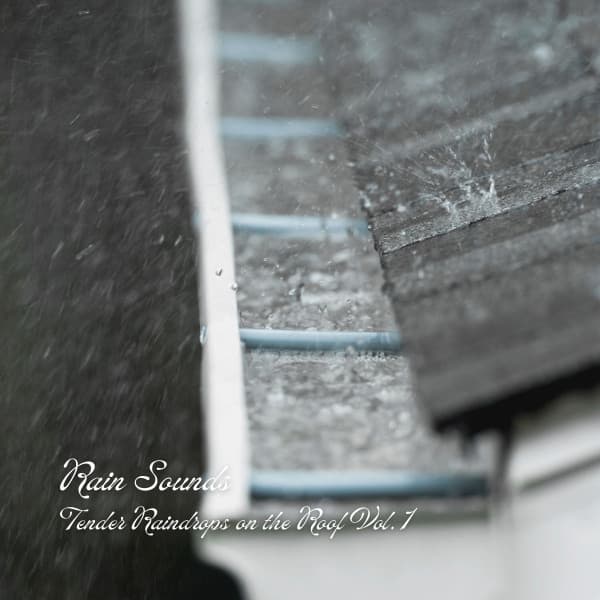 Rain Sounds: Tender Raindrops on the Roof Vol. 1 - Nature Ambience