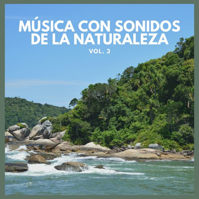 Música con Sonidos de La Naturaleza Vol. 3 - Lluvia Del Bosque