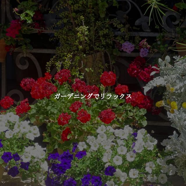 Música Moderna para Cafeterías