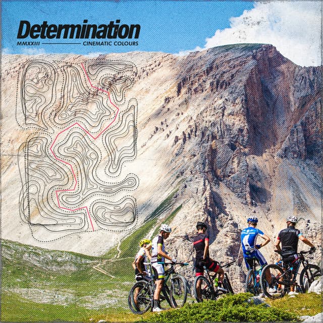 Determination - Sounds of the Forest