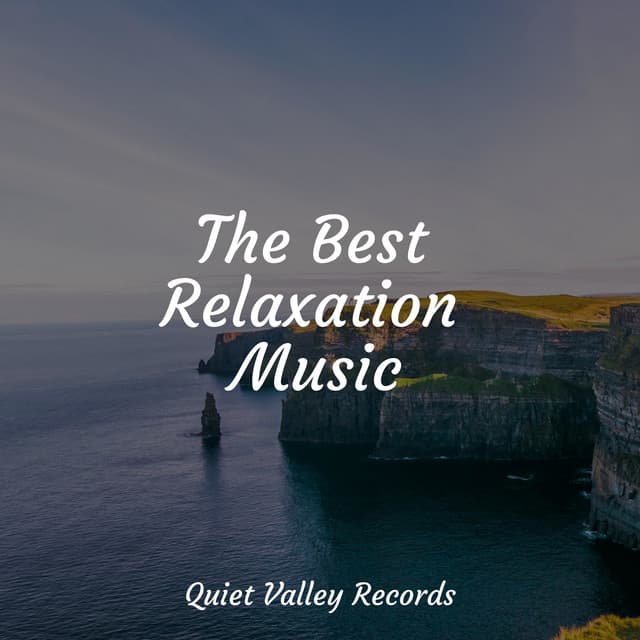 The Best Relaxation Music - Nature Sounds Artists