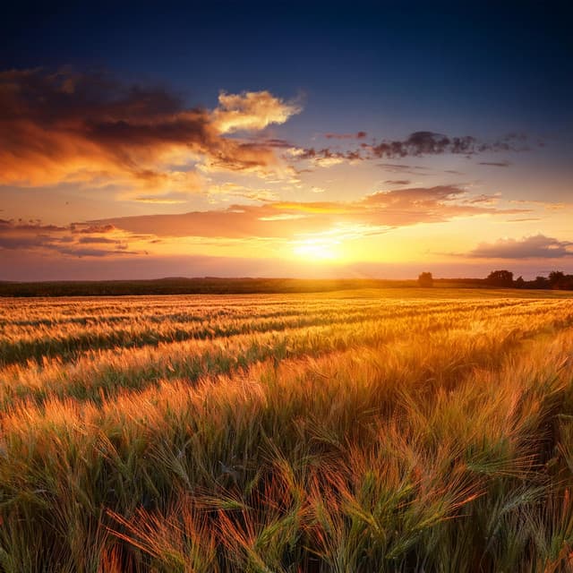 Relajación Relajante: Patrones De Tonos Pacíficos - Espacios Relajantes