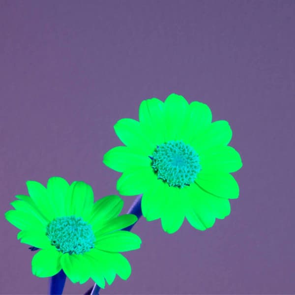 Bgm for Clear Moods - Jazz para Dormir Orquesta