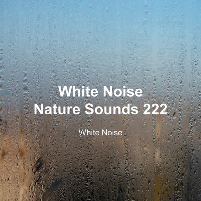 White Noise 222 - White Noise