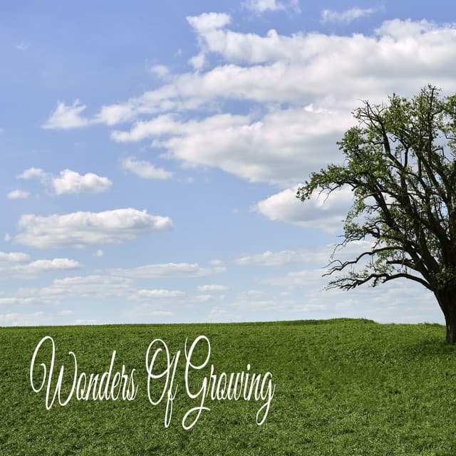 Wonders Of Growing - Calmar la Ansiedad