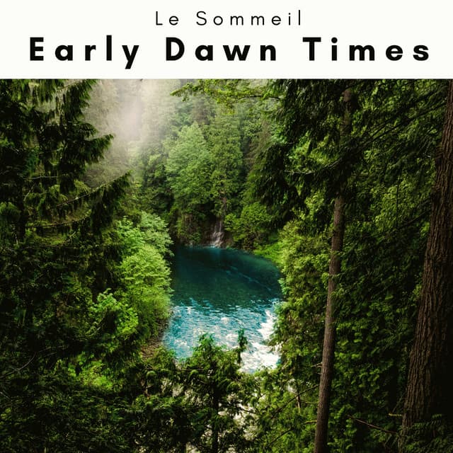 4 Ever Early Dawn Times - Le Sommeil