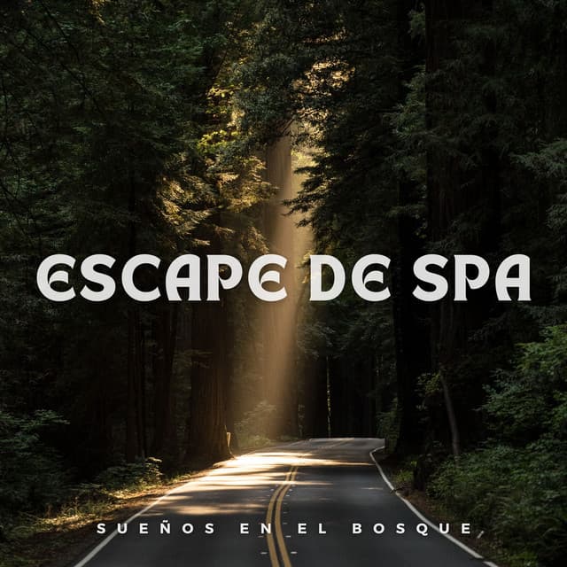 Escape de Spa: Sueños en el Bosque - Toque de la naturaleza