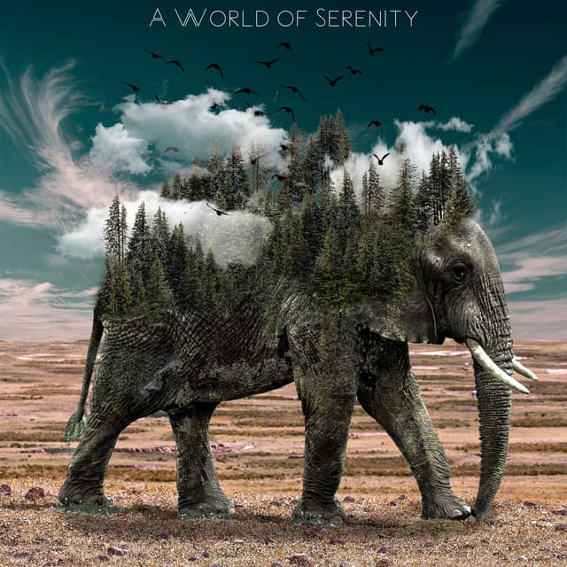 A World of Serenity - Relaxing Mindfulness Meditation Relaxation Maestro