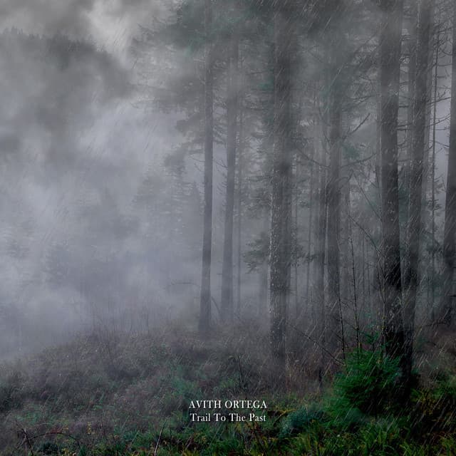 Trail to the Past - Avith Ortega