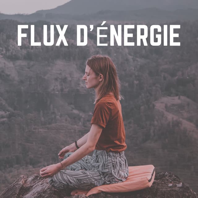 Flux D'énergie - Zen Méditation Académie