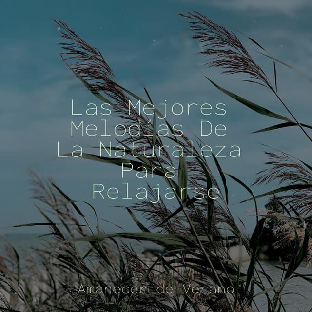 Las Mejores Melodías De La Naturaleza Para Relajarse - Canciones Infantiles de Niños