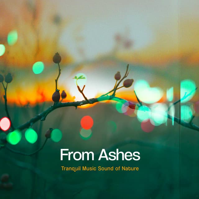 From Ashes - Tranquil Music Sound of Nature