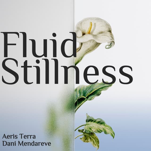 Fluid Stillness: Through the Divide - Aeris Terra