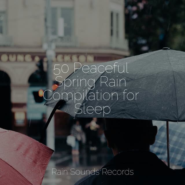 50 Peaceful Spring Rain Compilation for Sleep - Canción de Cuna