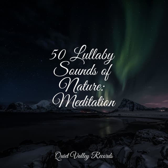 50 Lullaby Sounds of Nature: Meditation - Academia de Musica para Massagem Relaxamento