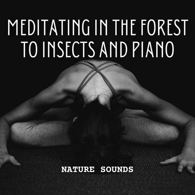 Nature Sounds: Meditating in the Forest to Insects and Piano - Piano Jazz Late Night