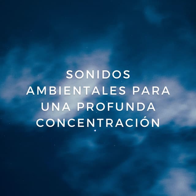 Contemplación De La Lluvia: Sonidos Ambientales Para Una Profunda Concentración - La biblioteca de la lluvia