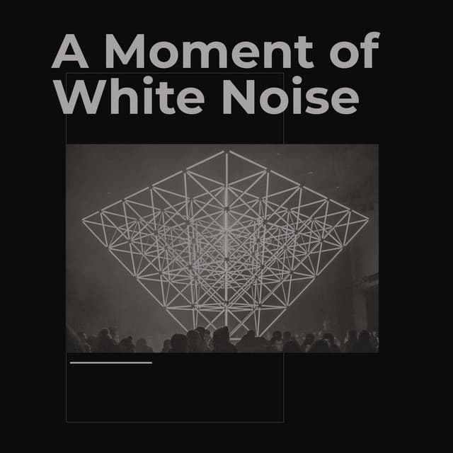 A Moment of White Noise - Binaural Beats Brainwave Entrainment