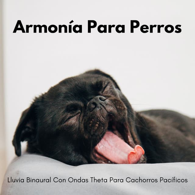 Armonía Para Perros: Lluvia Binaural Con Ondas Theta Para Cachorros Pacíficos - Colectivo Binaural Épico