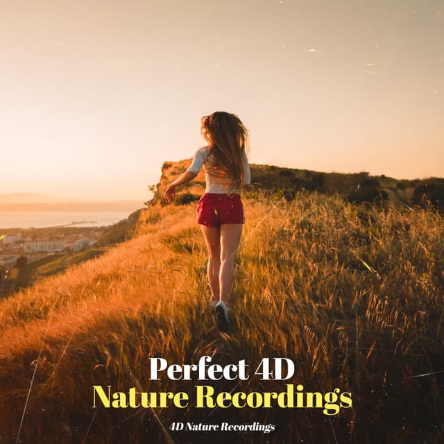 Perfect 4D Nature Recordings - 4D Nature Recordings