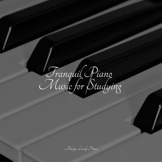 50 Calming Piano Songs for Studying and Relaxation - Relaxaing Chillout Music