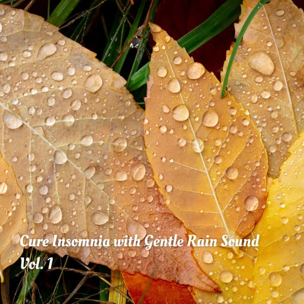 Cure Insomnia with Gentle Rain Sound Vol. 1 - Sleep Aid For Insomnia
