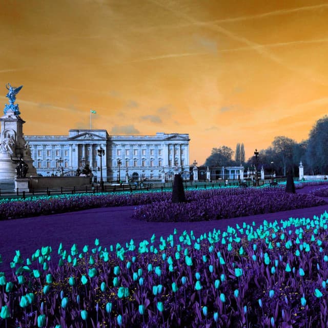 Backdrop for Calm Momentums - Fine Dining Music