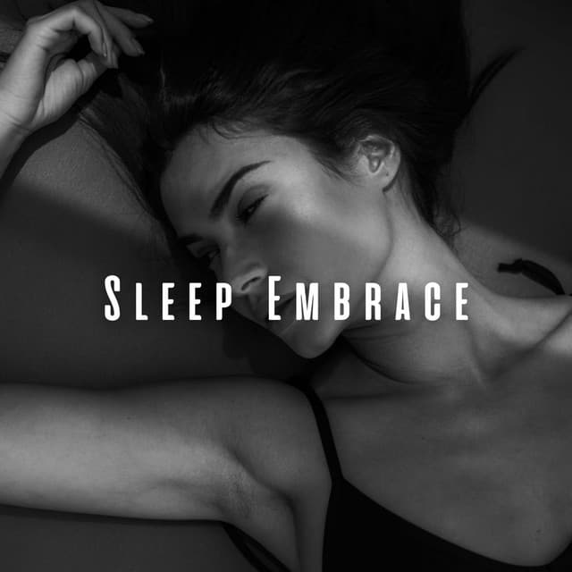 Sleep Embrace: Meditation Music Edition - Calming Brown Restful Sounds