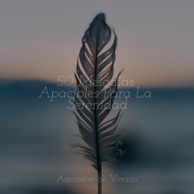 50 Melodías Apacibles Para La Serenidad - Musica para Dormir Dream House