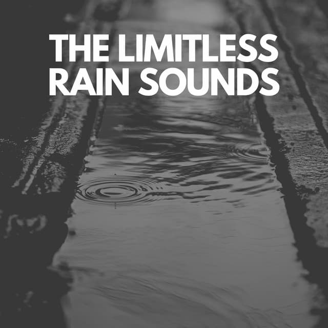 The Limitless Rain Sounds - Rainfall