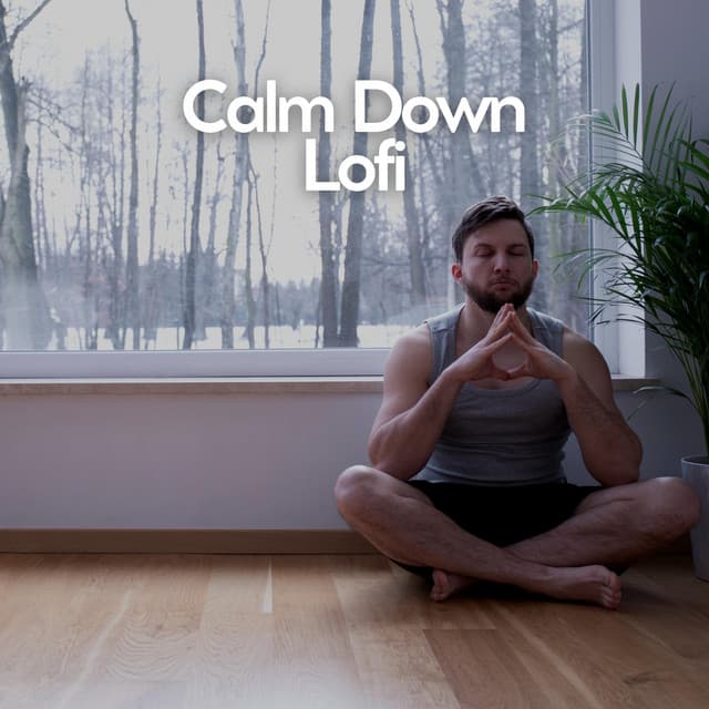 Calm Down Lofi - Work at Home Lofi