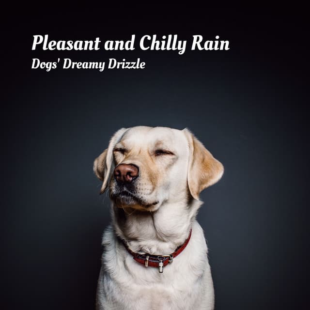 Pleasant and Chilly Rain: Dogs' Dreamy Drizzle - Nature Therapy