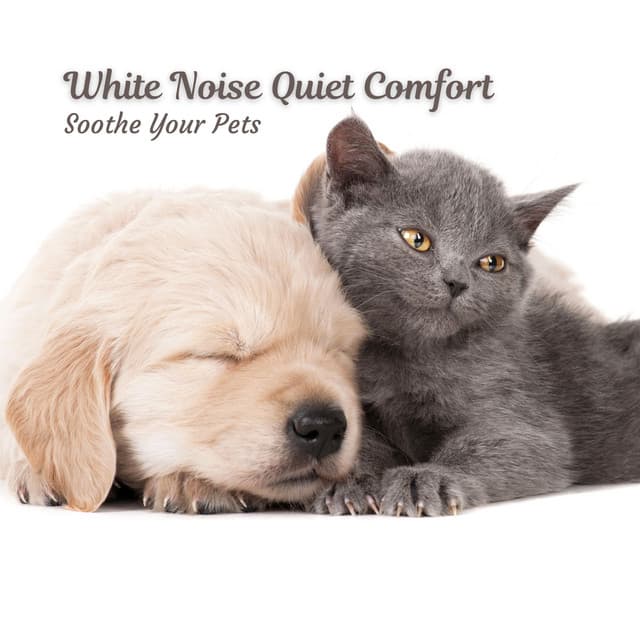 White Noise Quiet Comfort: Soothe Your Pets - Relaxing Sounds of Nature White Noise Waheguru