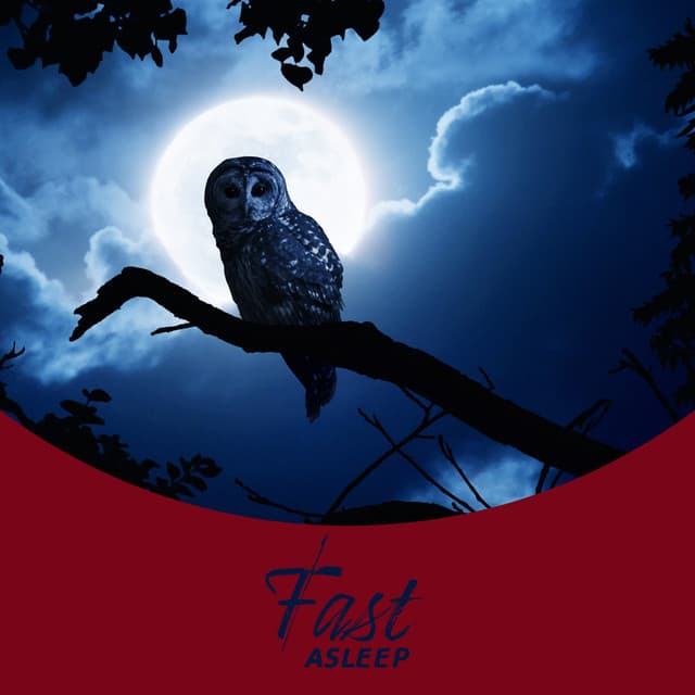 Fast Asleep 💤 - Jardim Zen