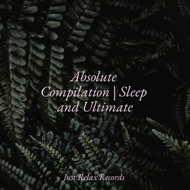 Absolute Compilation | Sleep and Ultimate - Meditation Relaxation Club