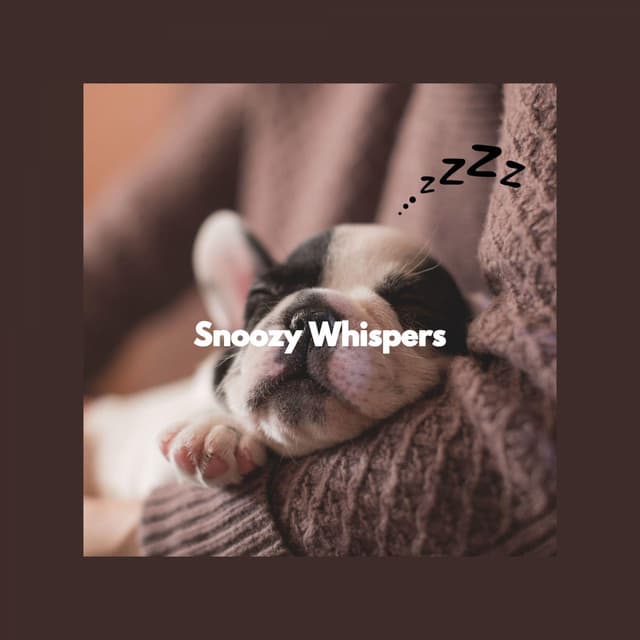 Snoozy Whispers - Dog Relaxation Music
