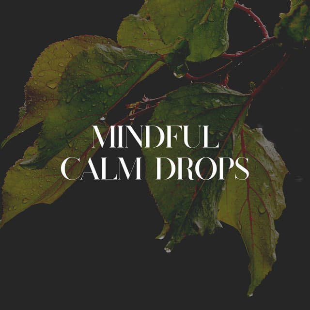 Mindful Calm Drops - Sample Rain Library