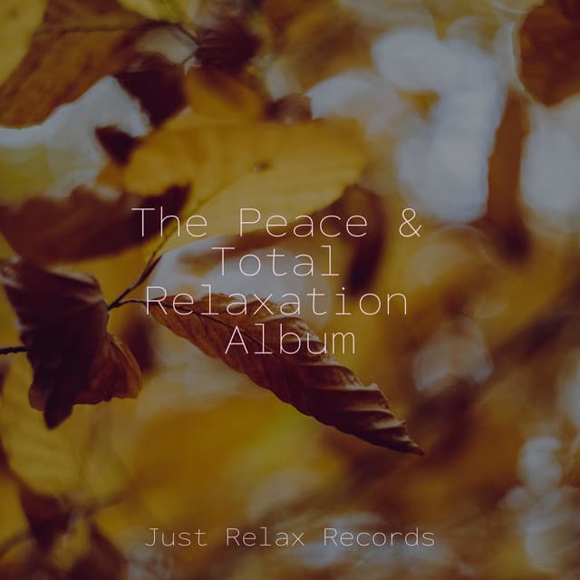 The Peace & Total Relaxation Album - Musica para Meditar