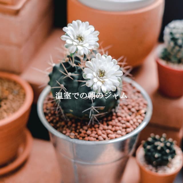 温室での朝のジャム - Classic Instrumental Jazz