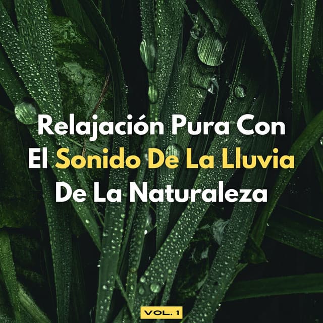 Relajación Pura Con El Sonido De La Lluvia De La Naturaleza, Vol. 1 - Fábrica de Sonidos de Lluvia STHLM