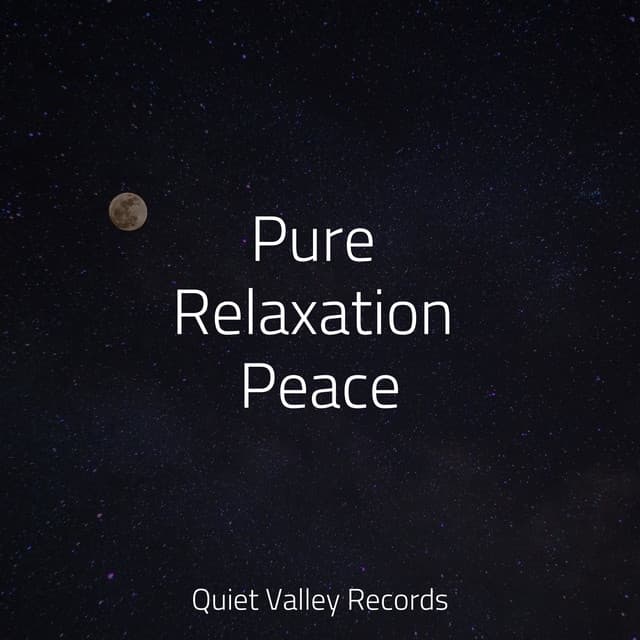 Pure Relaxation Peace - Rain Storm Sample Library
