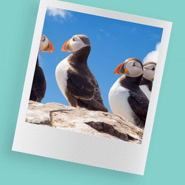 Jazz Guitar - Background for Mental Recharging - Música Alegre para Cafe