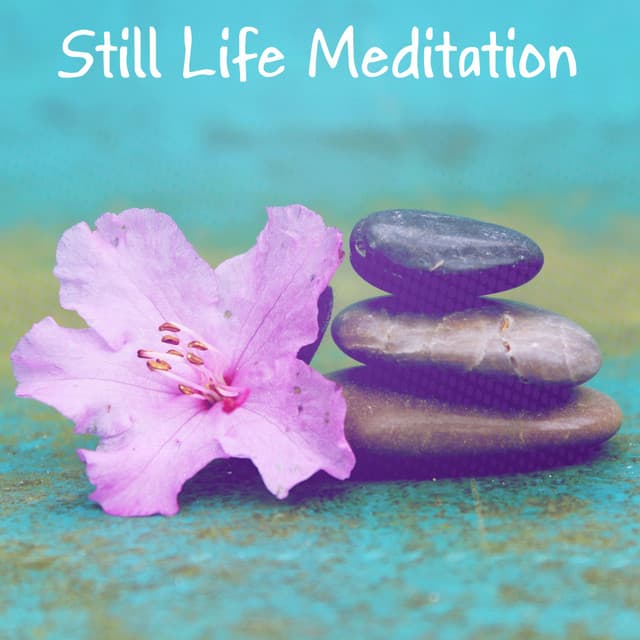 Still Life Meditation - Meditación Interna