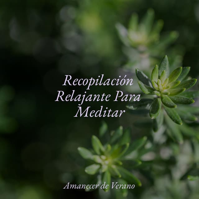 Recopilación Relajante Para Meditar - Relajación Meditar Academie