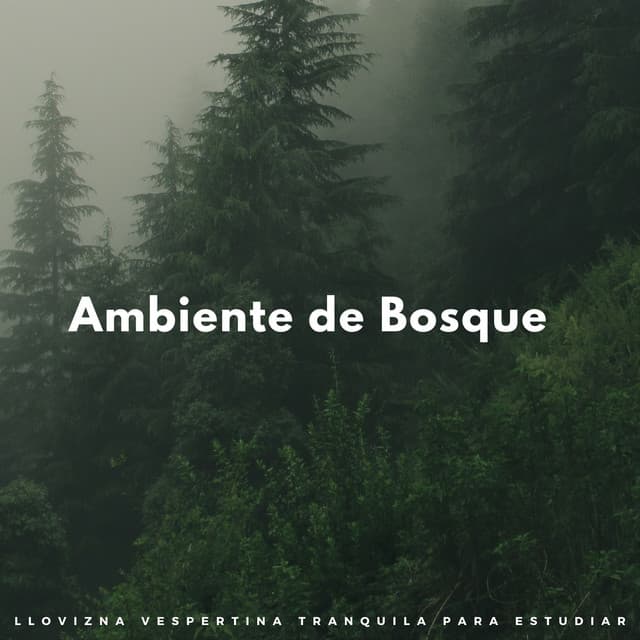 Ambiente De Bosque: Llovizna Vespertina Tranquila Para Estudiar - HD lluvia y agua
